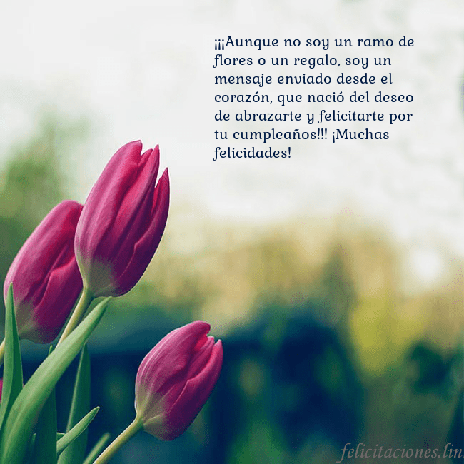 Tarjeta de cumpleaños con tres tulipanes rojos