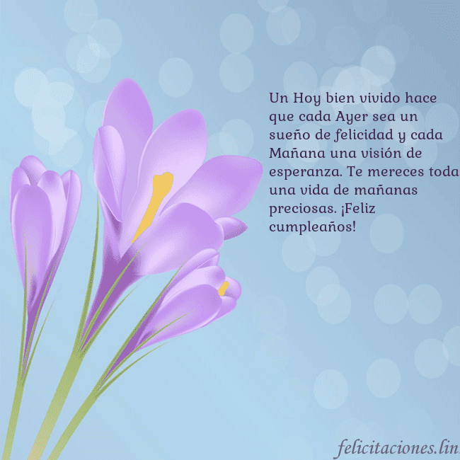 Tarjeta con crocus Un Hoy bien vivido hace que cada Ayer sea un sueño Tarjeta con crocus