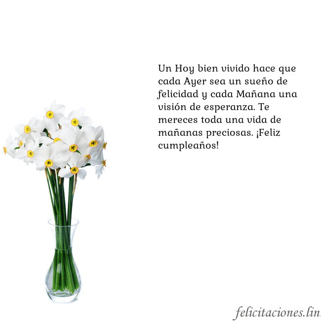 Tarjeta con narcisos Un Hoy bien vivido hace que cada Ayer sea un sueño Tarjeta con narcisos