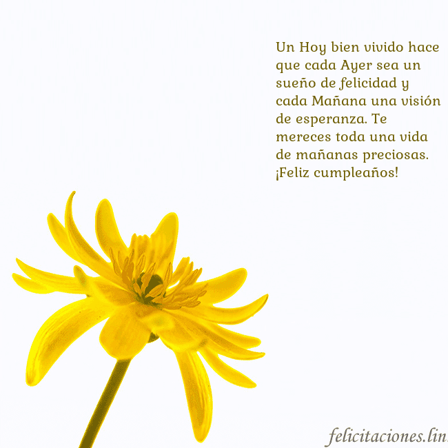 Tarjeta de cumpleaños con flor amarilla Un Hoy bien vivido hace que cada Ayer sea un sueño Tarjeta de cumpleaños con flor amarilla