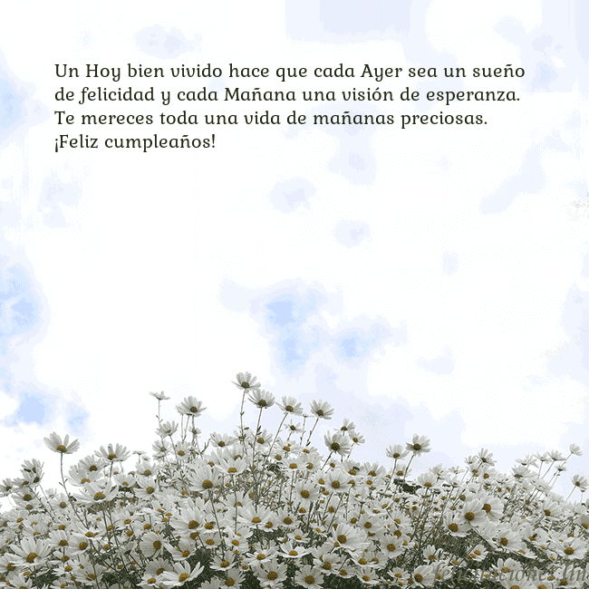 Tarjeta de cumpleaños con margaritas Un Hoy bien vivido hace que cada Ayer sea un sueño Tarjeta de cumpleaños con margaritas