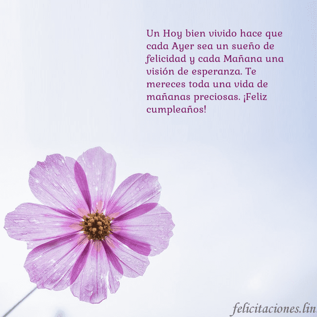 Tarjeta electrónica con flor morada