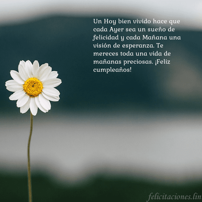 Tarjeta electrónica con margarita