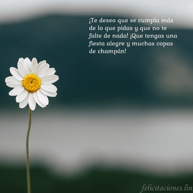 Tarjeta electrónica con margarita ¡Te deseo que se cumpla más de lo que pidas y que Tarjeta electrónica con margarita