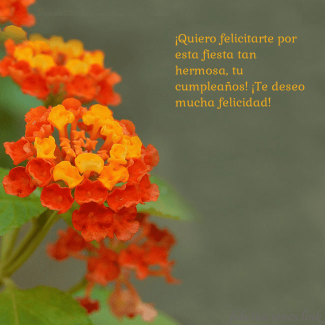 Tarjeta de cumpleaños con flores naranjas