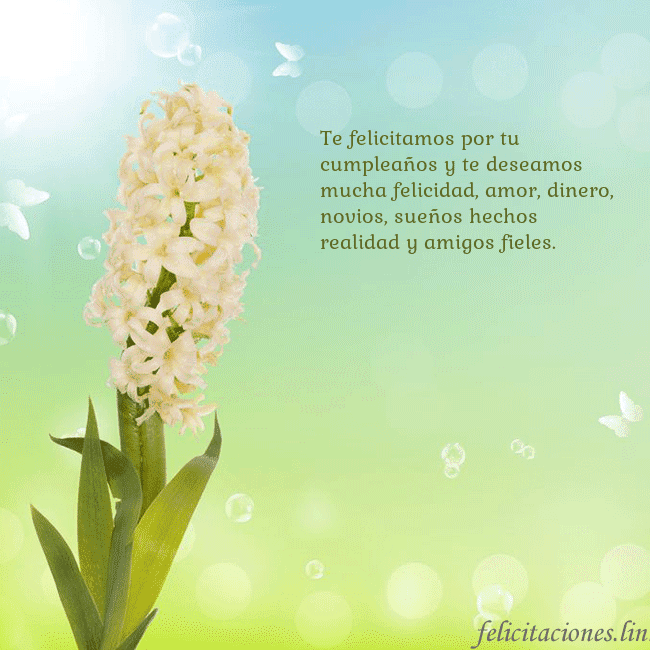 Tarjeta con jacinto Te felicitamos por tu cumpleaños y te deseamos muc Tarjeta con jacinto