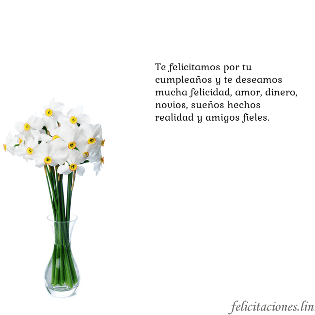 Tarjeta con narcisos Te felicitamos por tu cumpleaños y te deseamos muc Tarjeta con narcisos