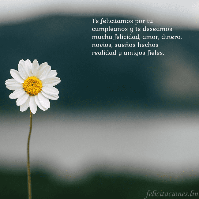Tarjeta electrónica con margarita Te felicitamos por tu cumpleaños y te deseamos muc Tarjeta electrónica con margarita