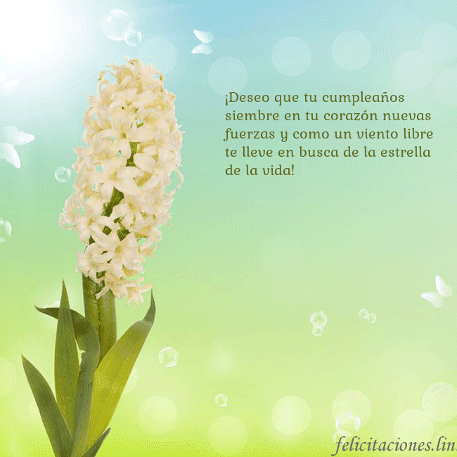 Tarjeta con jacinto ¡Deseo que tu cumpleaños siembre en tu corazón nue Tarjeta con jacinto