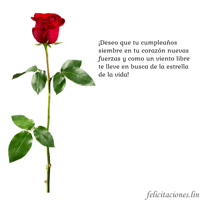 Tarjeta con una rosa roja ¡Deseo que tu cumpleaños siembre en tu corazón nue Tarjeta con una rosa roja