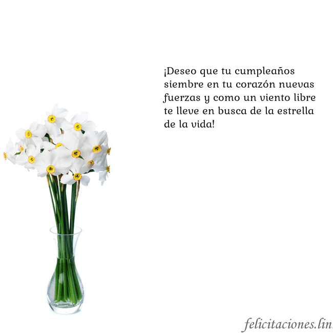 Tarjeta con narcisos ¡Deseo que tu cumpleaños siembre en tu corazón nue Tarjeta con narcisos