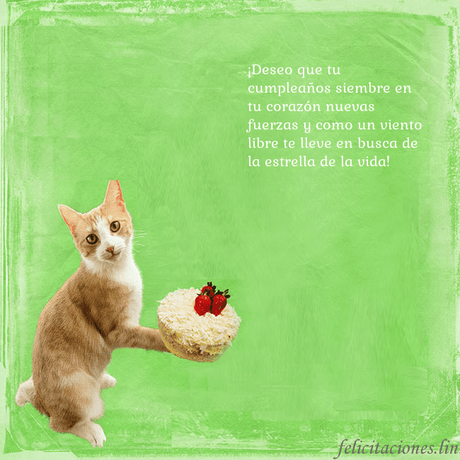 Tarjeta de cumpleaños con gato y pastel de cumpleaños ¡Deseo que tu cumpleaños siembre en tu corazón nue Tarjeta de cumpleaños con gato y pastel de cumpleaños