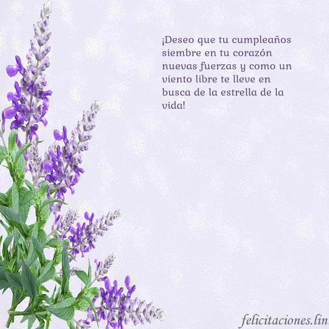 Tarjeta de cumpleaños con altramuces azules