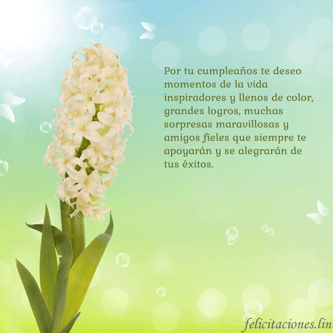 Tarjeta con jacinto Por tu cumpleaños te deseo momentos de la vida ins Tarjeta con jacinto