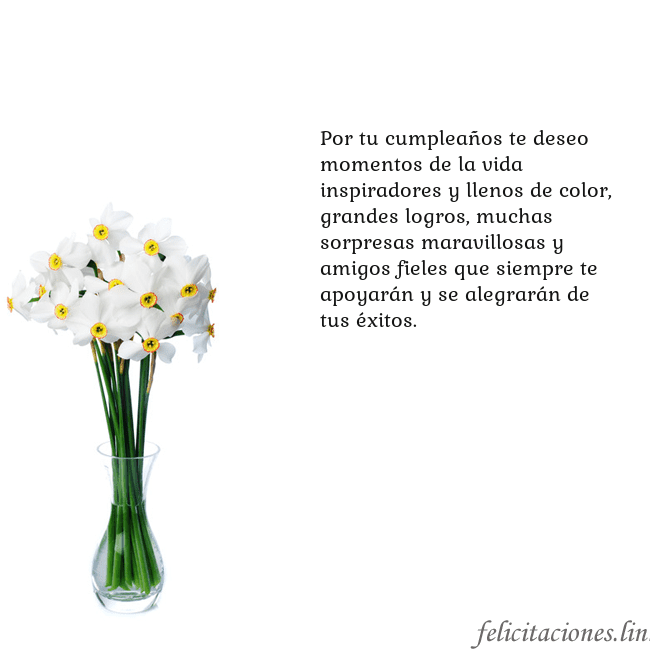 Tarjeta con narcisos Por tu cumpleaños te deseo momentos de la vida ins Tarjeta con narcisos