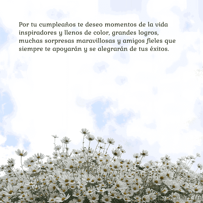 Tarjeta de cumpleaños con margaritas