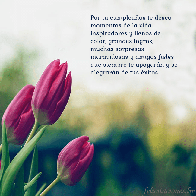 Tarjeta de cumpleaños con tres tulipanes rojos