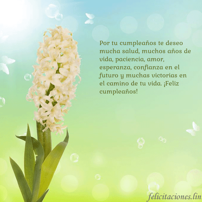 Tarjeta con jacinto Por tu cumpleaños te deseo mucha salud, muchos año Tarjeta con jacinto