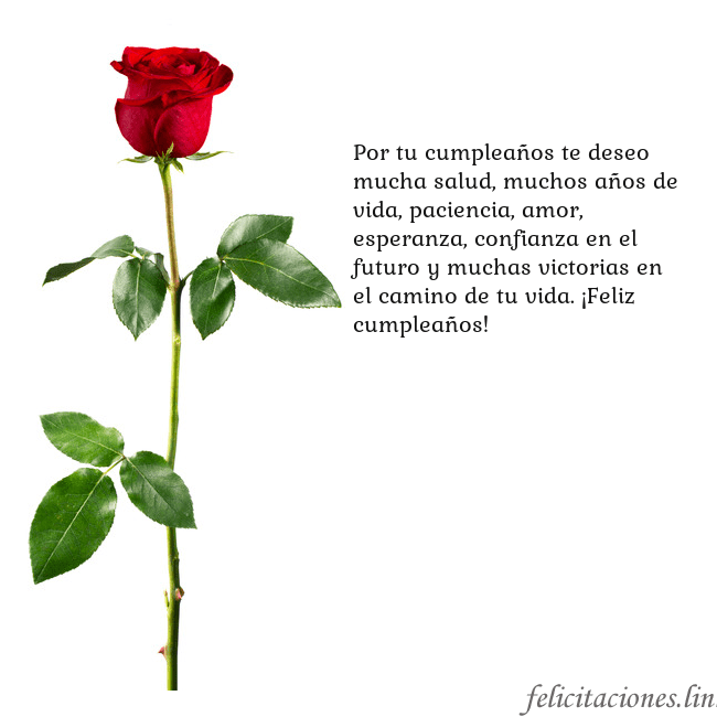 Tarjeta con una rosa roja Por tu cumpleaños te deseo mucha salud, muchos año Tarjeta con una rosa roja