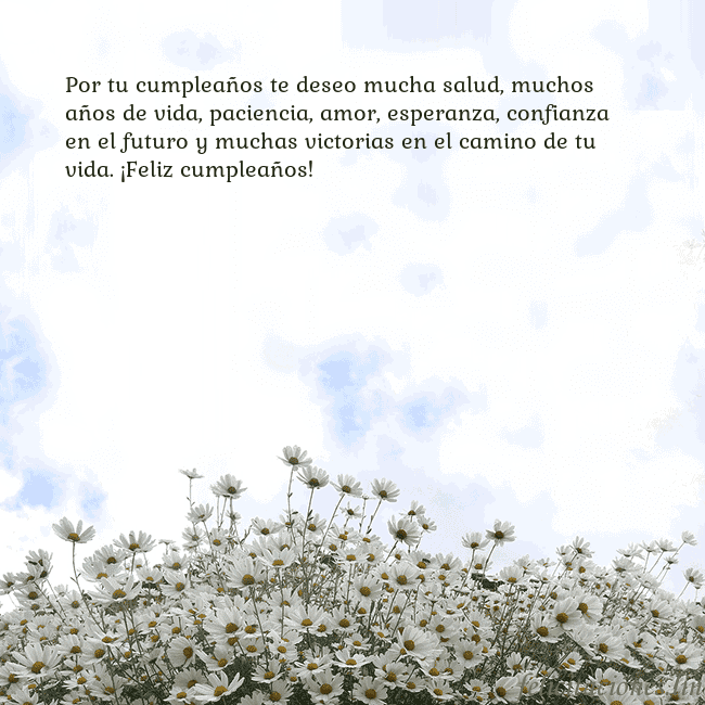 Tarjeta de cumpleaños con margaritas Por tu cumpleaños te deseo mucha salud, muchos año Tarjeta de cumpleaños con margaritas