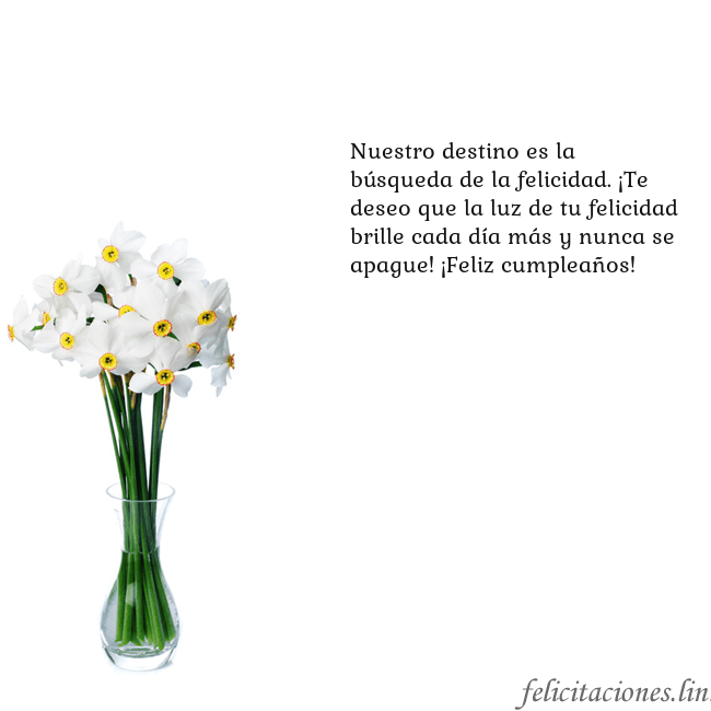 Tarjeta con narcisos Nuestro destino es la búsqueda de la felicidad. ¡T Tarjeta con narcisos