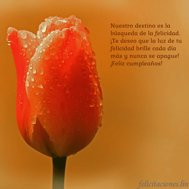 Tarjeta de cumpleaños con tulipán rojo Nuestro destino es la búsqueda de la felicidad. ¡T Tarjeta de cumpleaños con tulipán rojo