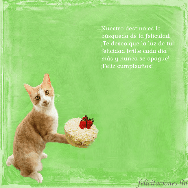 Tarjeta de cumpleaños con gato y pastel de cumpleaños Nuestro destino es la búsqueda de la felicidad. ¡T Tarjeta de cumpleaños con gato y pastel de cumpleaños