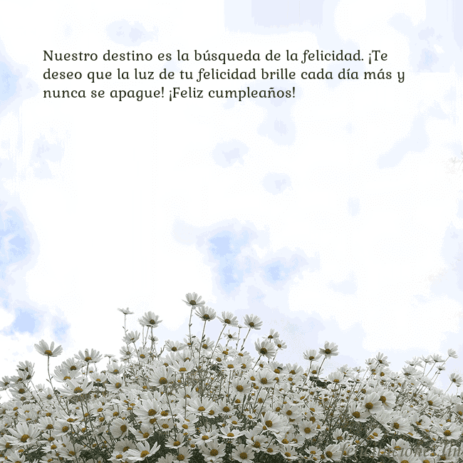 Tarjeta de cumpleaños con margaritas Nuestro destino es la búsqueda de la felicidad. ¡T Tarjeta de cumpleaños con margaritas