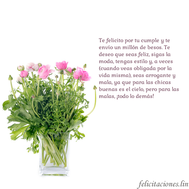 Tarjeta con flores en un jarrón Te felicito por tu cumple y te envío un millón de Tarjeta con flores en un jarrón