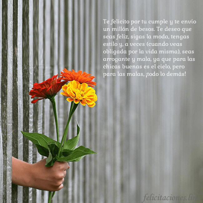 Tarjeta electrónica con ramo de flores Te felicito por tu cumple y te envío un millón de Tarjeta electrónica con ramo de flores