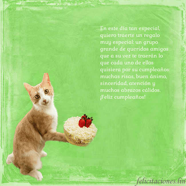 Tarjeta de cumpleaños con gato y pastel de cumpleaños En este día tan especial, quiero traerte un regalo Tarjeta de cumpleaños con gato y pastel de cumpleaños