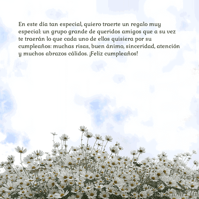 Tarjeta de cumpleaños con margaritas