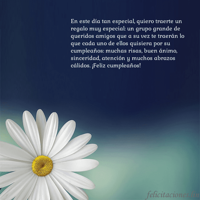 Postal con una gran margarita