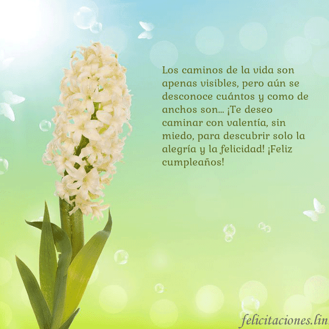 Tarjeta con jacinto Los caminos de la vida son apenas visibles, pero a Tarjeta con jacinto