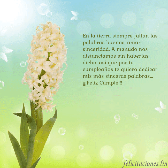 Tarjeta con jacinto En la tierra siempre faltan las palabras buenas, a Tarjeta con jacinto