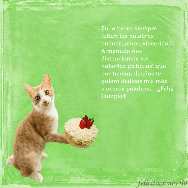 Tarjeta de cumpleaños con gato y pastel de cumpleaños En la tierra siempre faltan las palabras buenas, a Tarjeta de cumpleaños con gato y pastel de cumpleaños