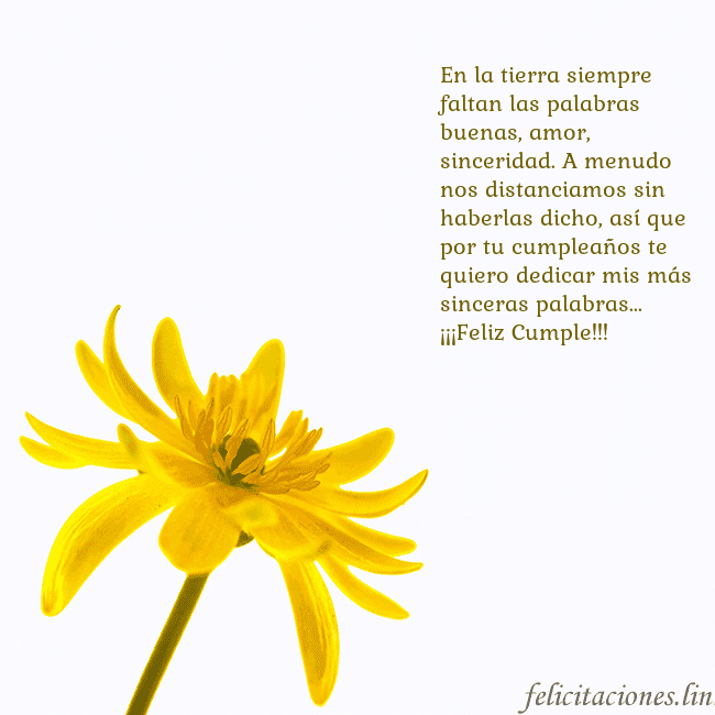 Tarjeta de cumpleaños con flor amarilla