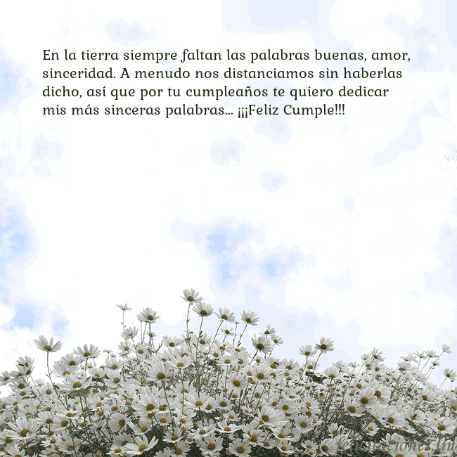 Tarjeta de cumpleaños con margaritas