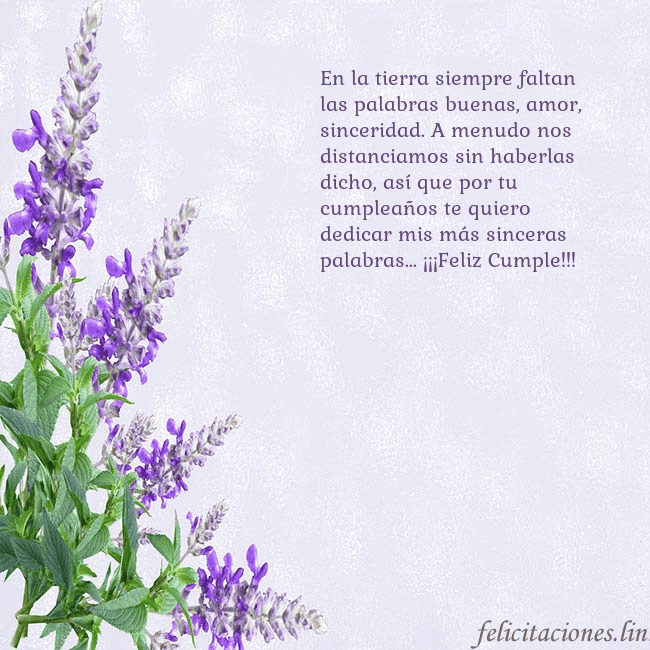 Tarjeta de cumpleaños con altramuces azules