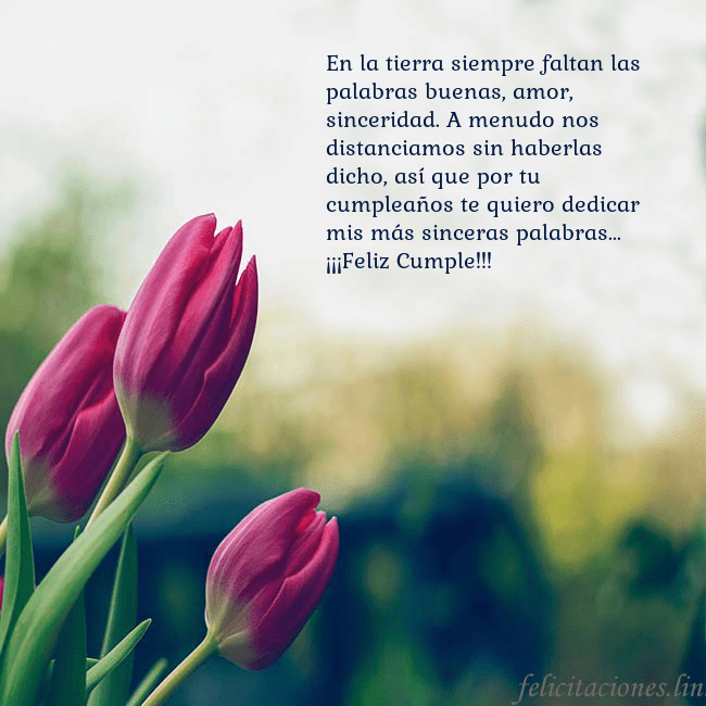 Tarjeta de cumpleaños con tres tulipanes rojos En la tierra siempre faltan las palabras buenas, a Tarjeta de cumpleaños con tres tulipanes rojos