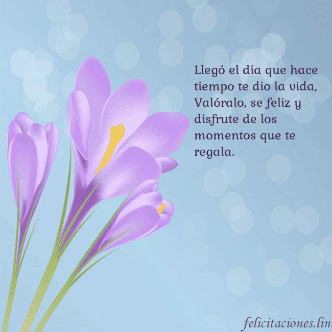 Tarjeta con crocus Llegó el día que hace tiempo te dio la vida, 
Való Tarjeta con crocus