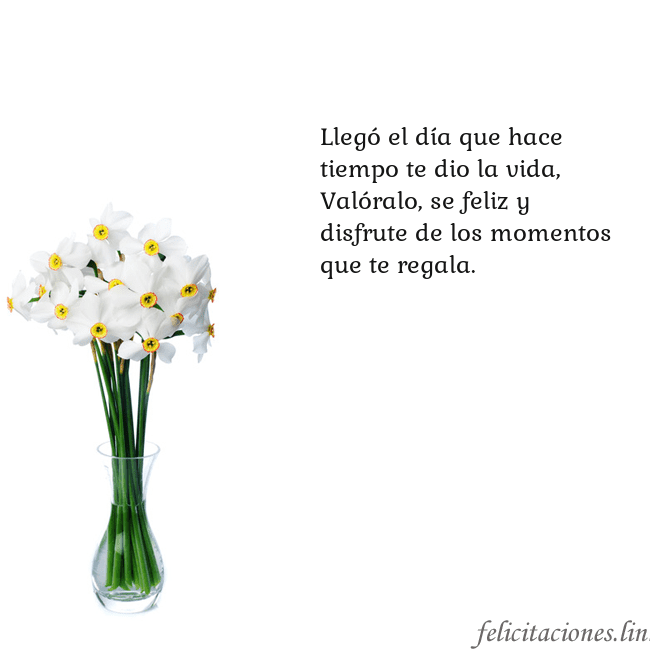 Tarjeta con narcisos Llegó el día que hace tiempo te dio la vida,
Való Tarjeta con narcisos