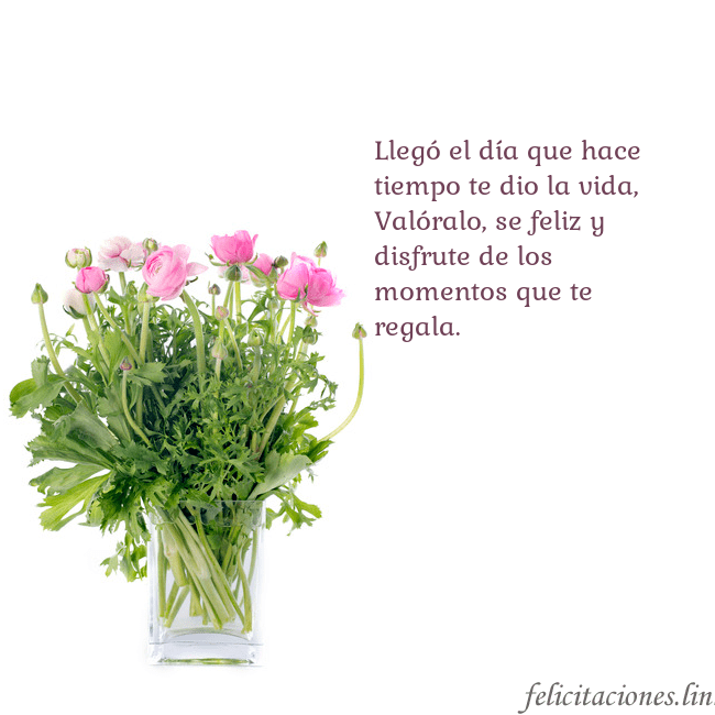 Tarjeta con flores en un jarrón Llegó el día que hace tiempo te dio la vida,
Való Tarjeta con flores en un jarrón