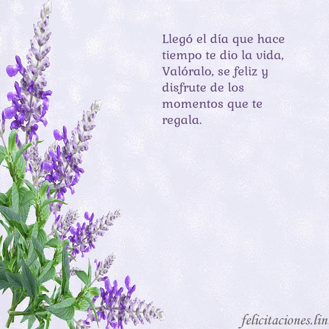 Tarjeta de cumpleaños con altramuces azules