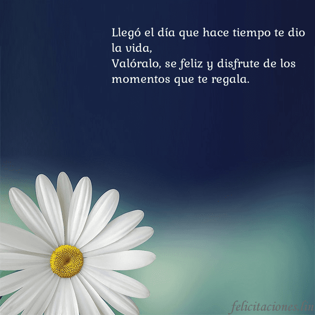 Postal con una gran margarita