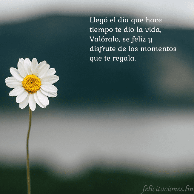 Tarjeta electrónica con margarita