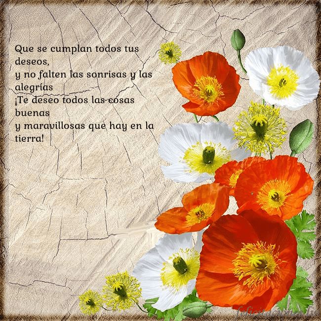 Tarjeta de cumpleaños con amapolas Que se cumplan todos tus deseos,
y no falten las s Tarjeta de cumpleaños con amapolas