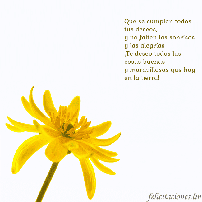 Tarjeta de cumpleaños con flor amarilla