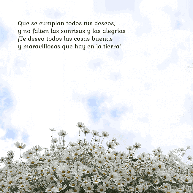 Tarjeta de cumpleaños con margaritas Que se cumplan todos tus deseos,
y no falten las s Tarjeta de cumpleaños con margaritas