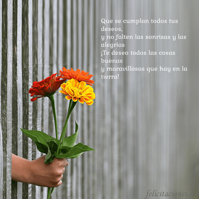 Tarjeta electrónica con ramo de flores Que se cumplan todos tus deseos,
y no falten las s Tarjeta electrónica con ramo de flores